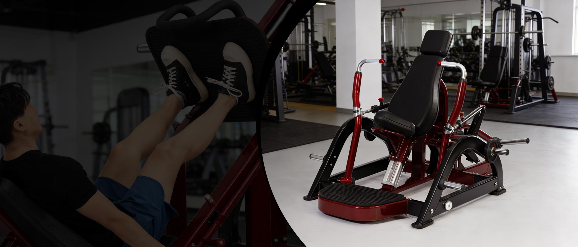 China Strength Training Machine ထုတ်လုပ်သူ