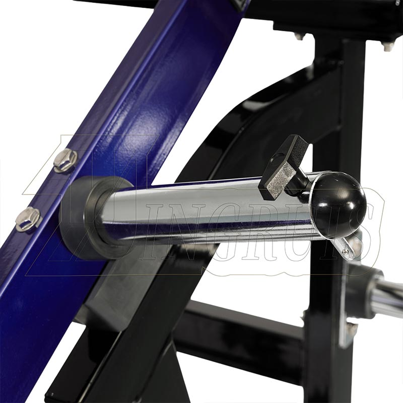 ISO-Lateral Row