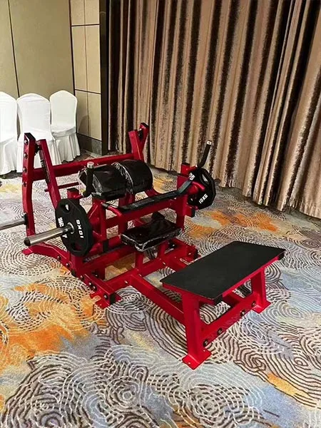 Commercial Gym