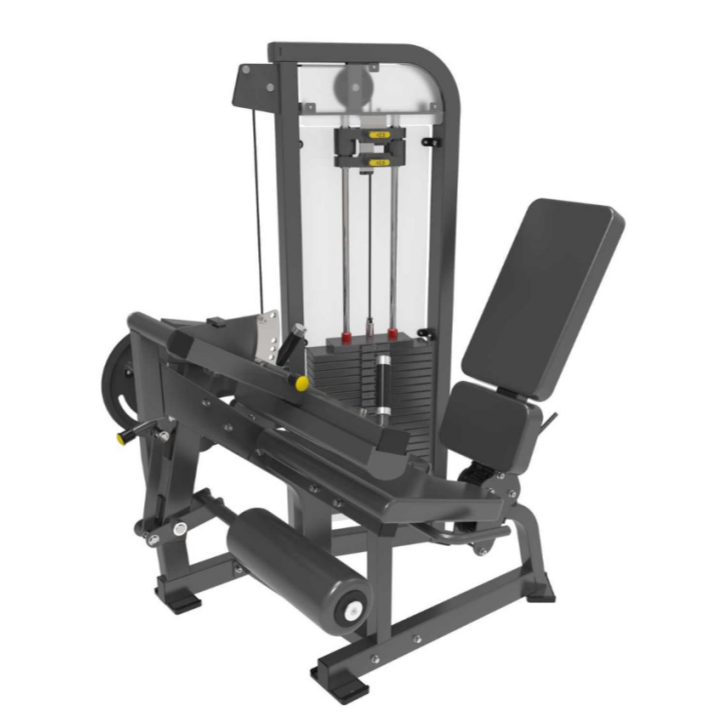 ခြေထောက်တိုးချဲ့မှု Leg Curl